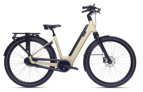 Frappé fuzed b7 plus Dames soft gold matt 54cm m 2024