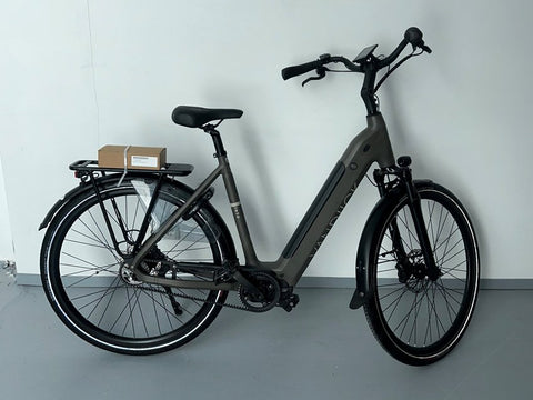VanDijck Leto 2022 Belt Tarmac 56cm / 806 Wh Dames Tarmac 56cm 2022
