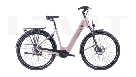 LEVIT BELECO 7 low 55 rose 620 Rose 55cm 2025