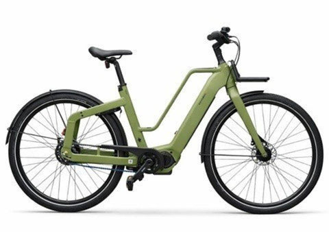 Mixed Groen 50cm 2026